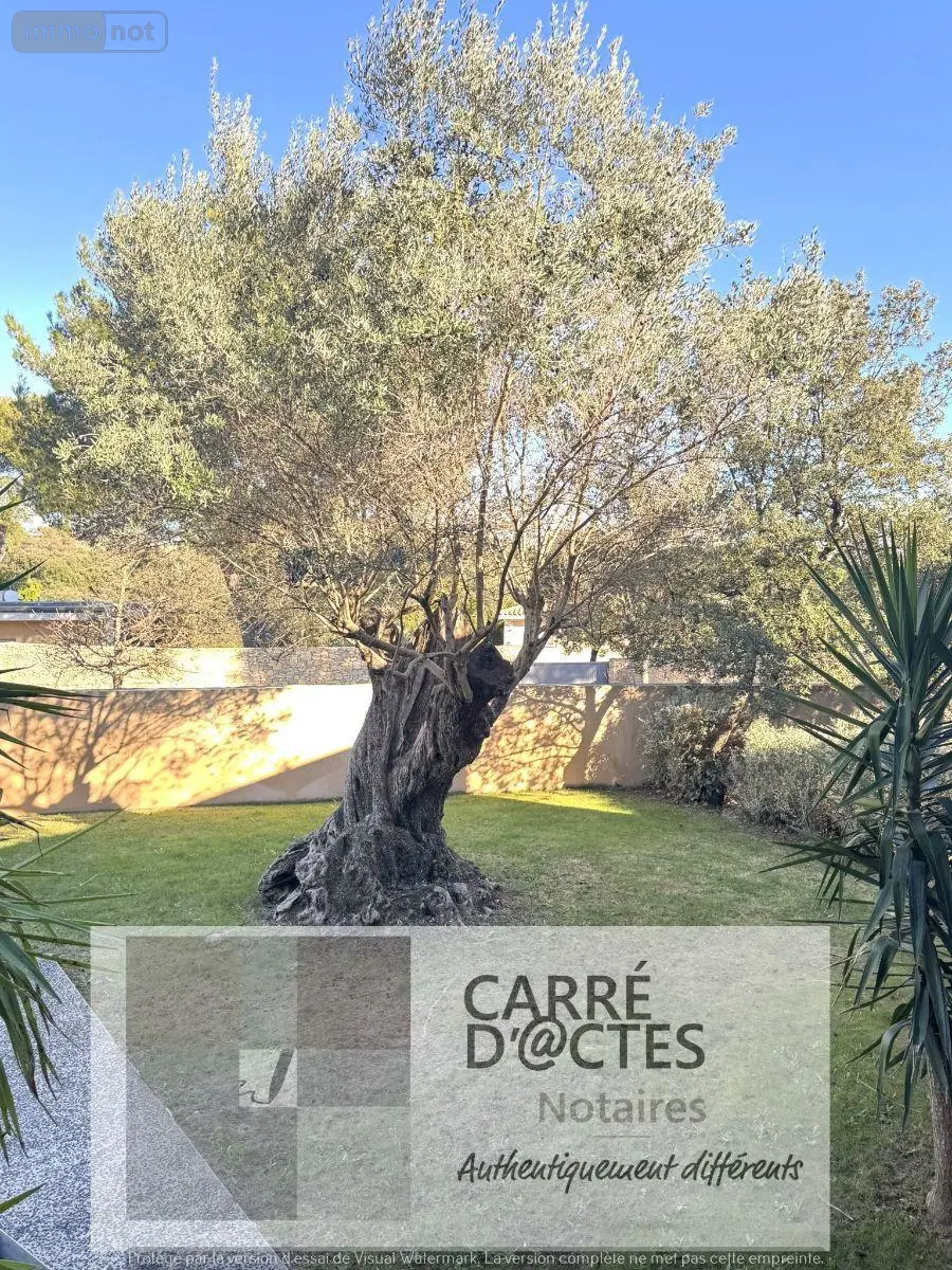 Maison a vendre Nîmes 30900 Gard 30 500 m2 7 pièces 1349000 euros 1003 / 696 039