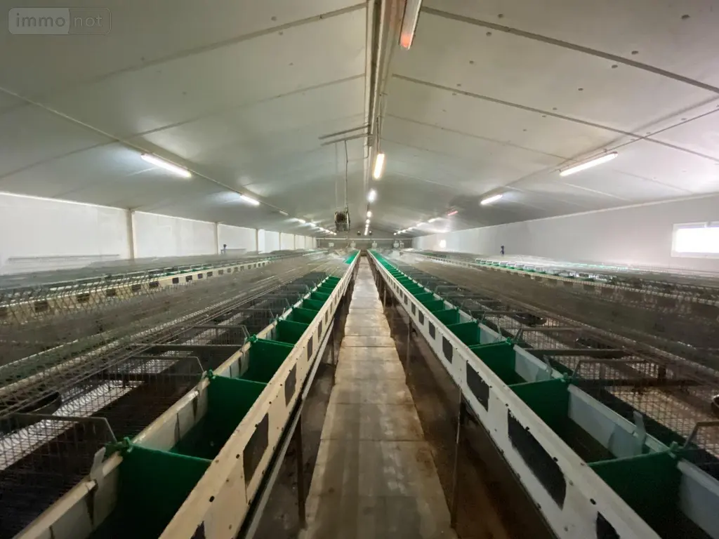 Bien agricole a vendre La Baconnière 53240 Mayenne 53 65040 euros 53047/149 002