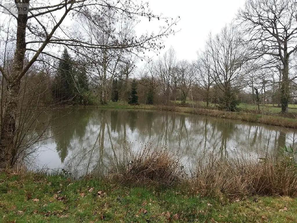 Terrains de loisirs bois etangs a vendre Marcillé-Raoul 35560 Ille-et-Vilaine 35 35000 euros 091-666 002