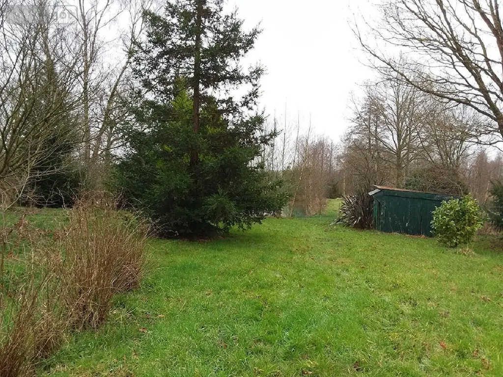 Terrains de loisirs bois etangs a vendre Marcillé-Raoul 35560 Ille-et-Vilaine 35 35000 euros 091-666 005