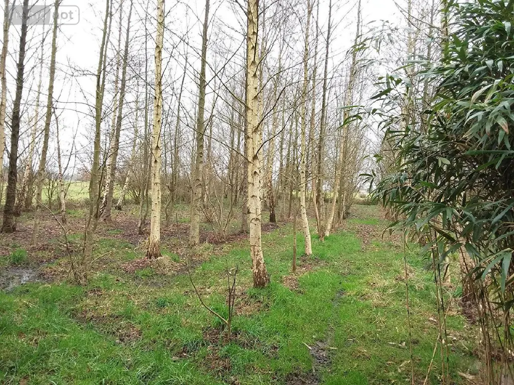 Terrains de loisirs bois etangs a vendre Marcillé-Raoul 35560 Ille-et-Vilaine 35 35000 euros 091-666 006