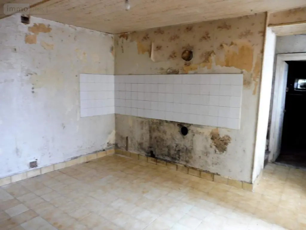 Maison a vendre Saint-Martin-de-Ribérac 24600 Dordogne 24 65 m2 3 pièces 35000 euros 077/1368 013