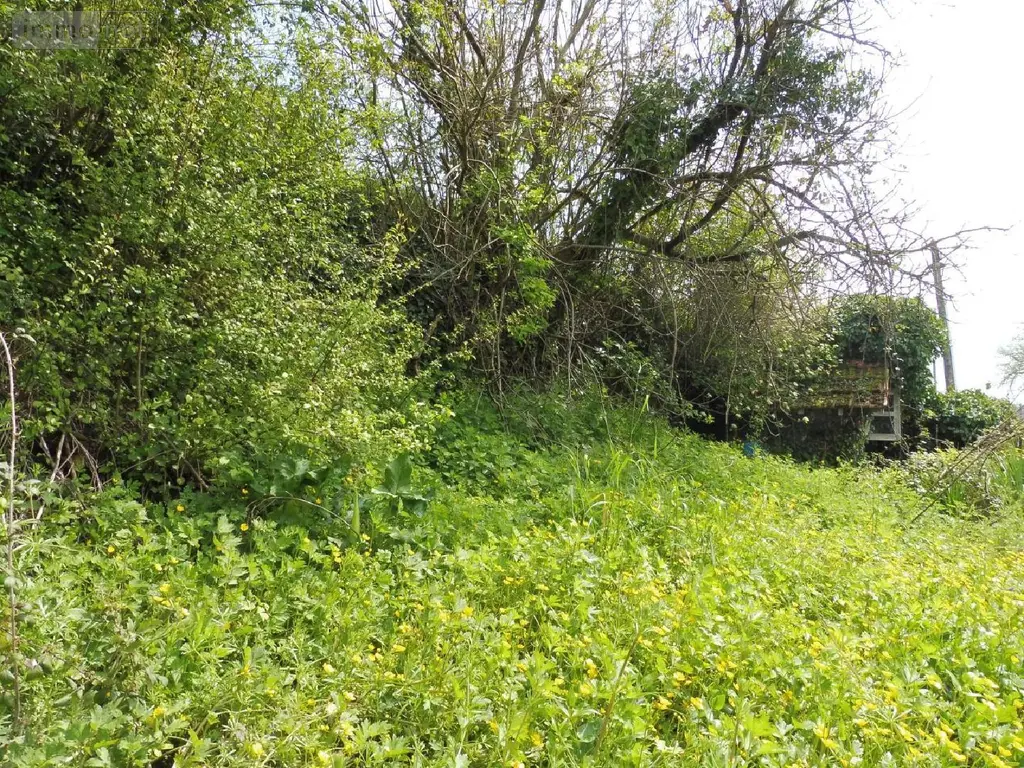 Maison a vendre Saint-Martin-de-Ribérac 24600 Dordogne 24 65 m2 3 pièces 35000 euros 077/1368 004
