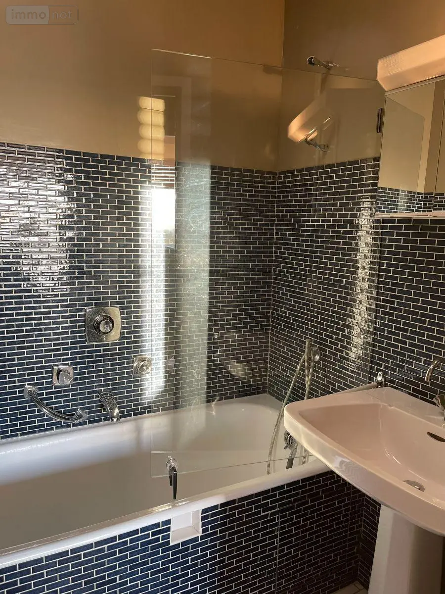 Appartement a vendre Troyes 10000 Aube 10 211 m2 6 pièces 350000 euros 10376-1242 009