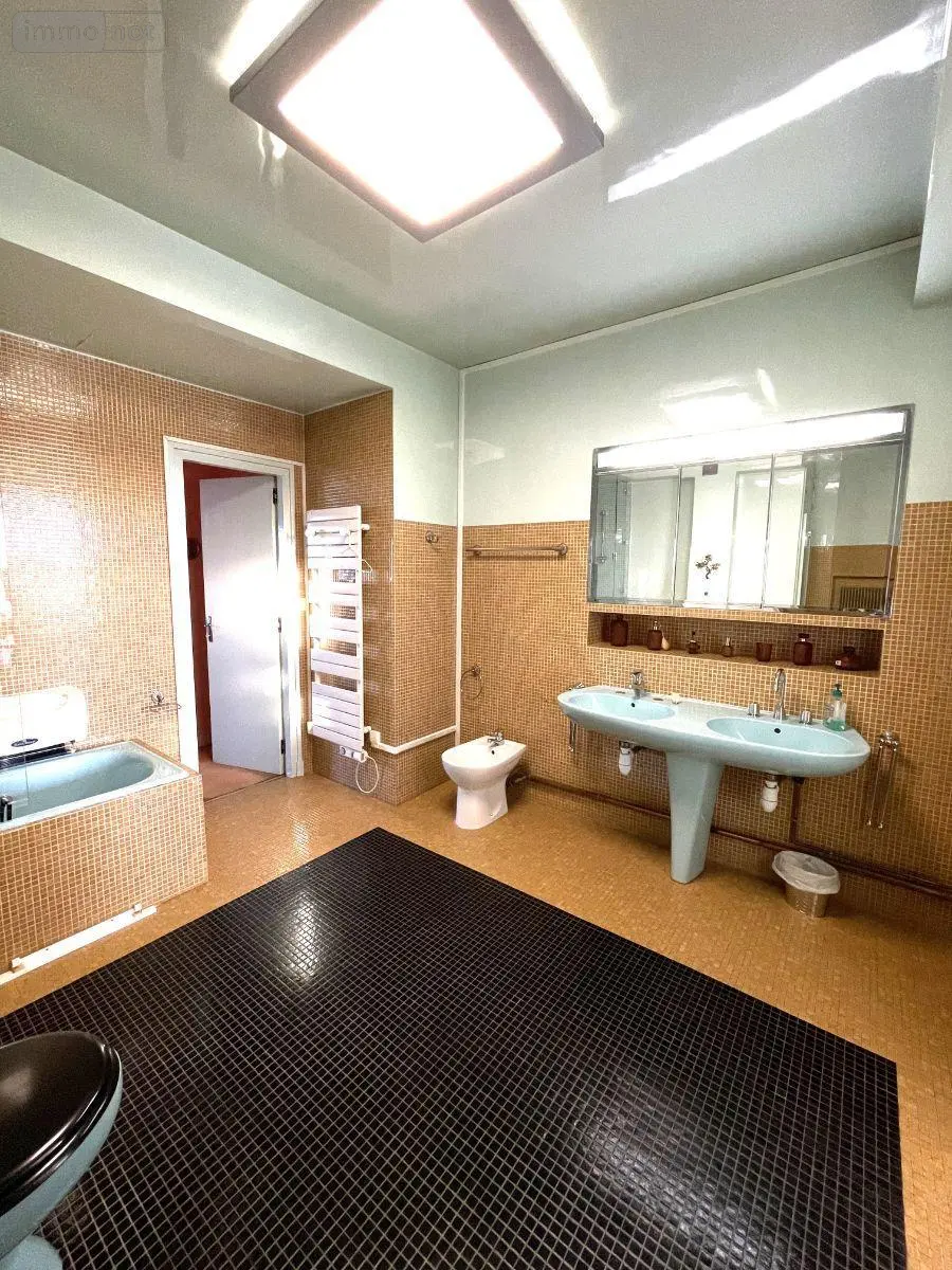 Appartement a vendre Troyes 10000 Aube 10 211 m2 6 pièces 350000 euros 10376-1242 007