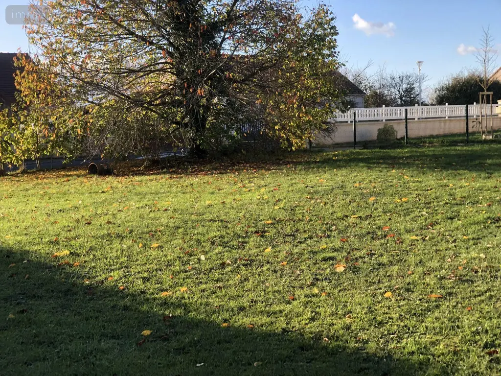 Terrain a batir a vendre Ségry 36100 Indre 36 43000 euros 11813/1490 001
