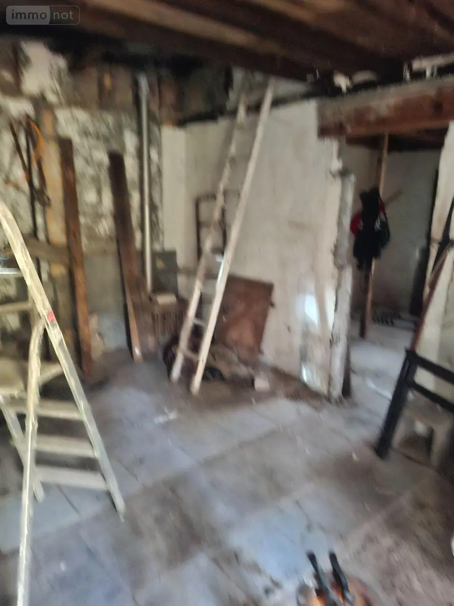 Maison a vendre Neuvy-sur-Barangeon 18330 Cher 18 40 m2 2 pièces 49500 euros 18016/2048 004