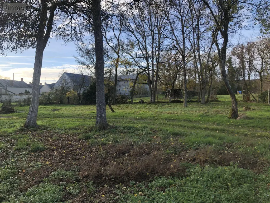 Terrain a batir a vendre Les Bordes 36100 Indre 36 23000 euros 11813/1496 002