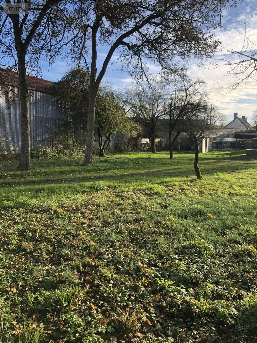 Terrain a batir a vendre Les Bordes 36100 Indre 36 23000 euros 11813/1496 003