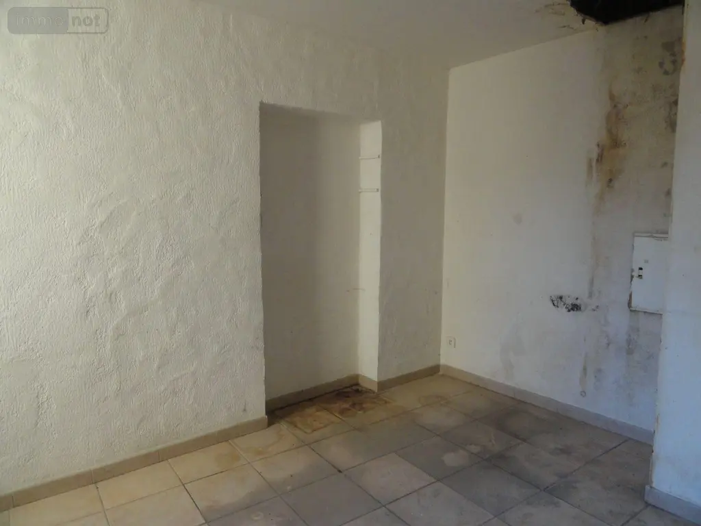 Immeuble de rapport a vendre Saint-Gilles 30800 Gard 30 578 m2 199280 euros 11411/436 005
