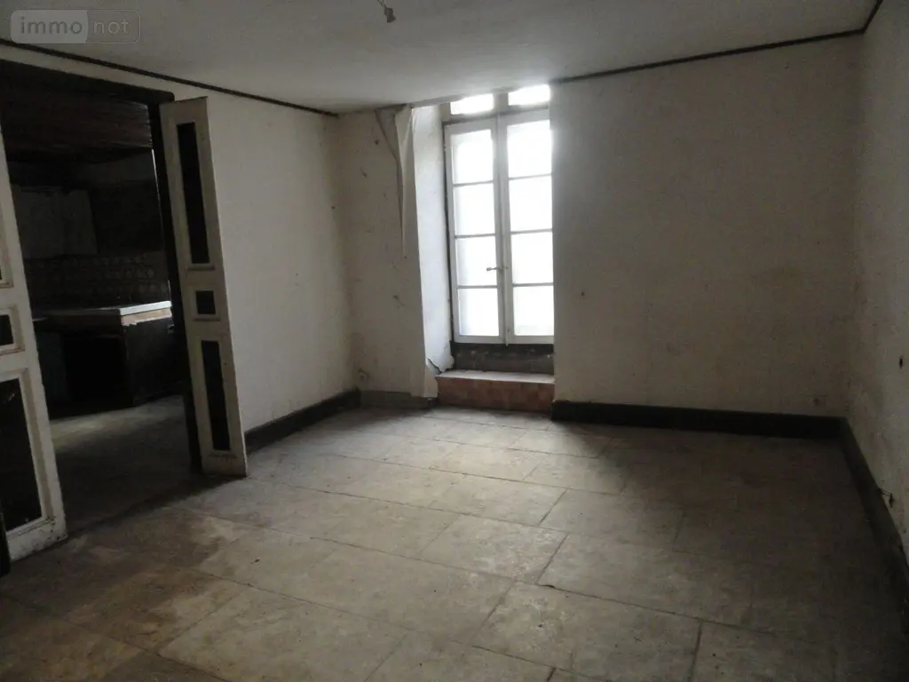 Immeuble de rapport a vendre Saint-Gilles 30800 Gard 30 578 m2 199280 euros 11411/436 006