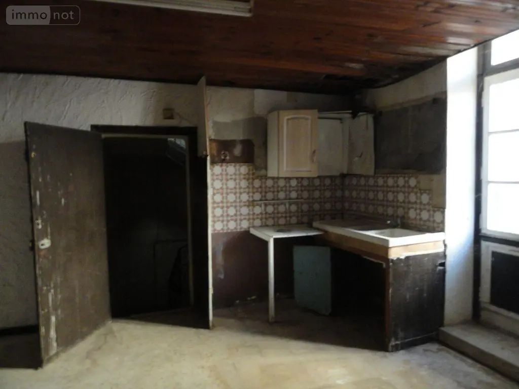 Immeuble de rapport a vendre Saint-Gilles 30800 Gard 30 578 m2 199280 euros 11411/436 008