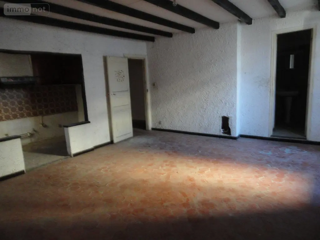 Immeuble de rapport a vendre Saint-Gilles 30800 Gard 30 578 m2 199280 euros 11411/436 010