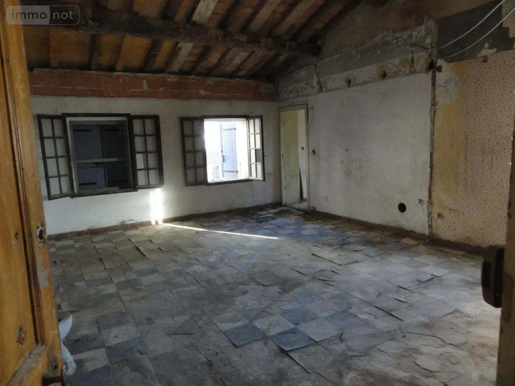 Immeuble de rapport a vendre Saint-Gilles 30800 Gard 30 578 m2 199280 euros 11411/436 013