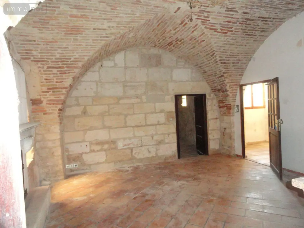 Immeuble de rapport a vendre Saint-Gilles 30800 Gard 30 578 m2 199280 euros 11411/436 015