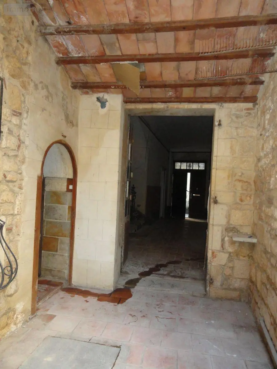 Immeuble de rapport a vendre Saint-Gilles 30800 Gard 30 578 m2 199280 euros 11411/436 016