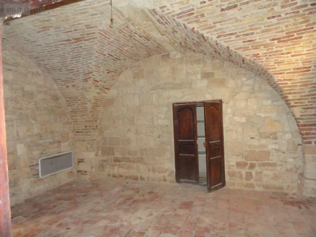 Immeuble de rapport a vendre Saint-Gilles 30800 Gard 30 578 m2 199280 euros 11411/436 017