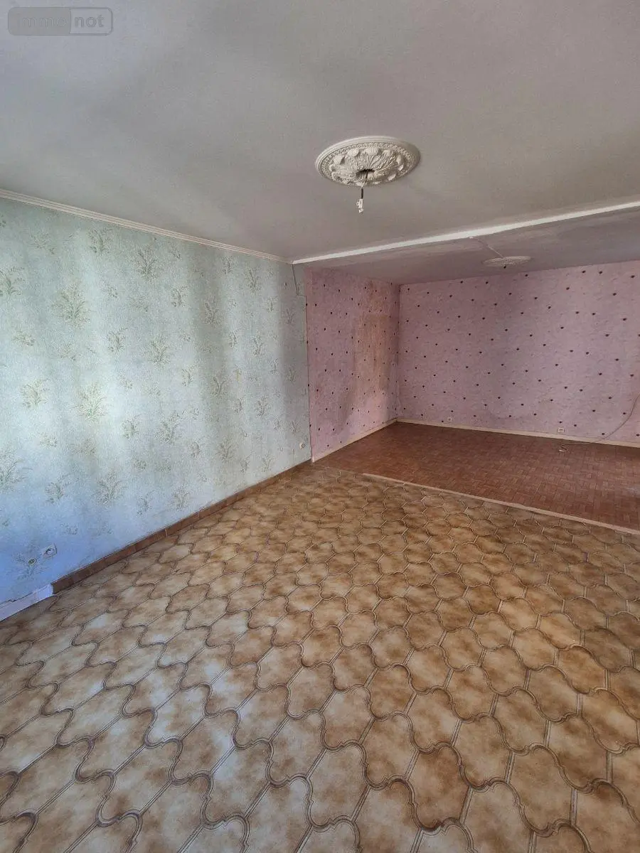 Maison a vendre Cluis 36340 Indre 36 64 m2 4 pièces 53000 euros CG/417 007