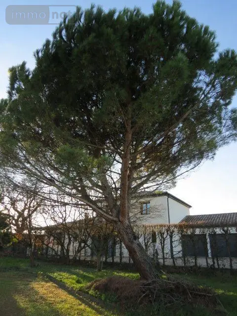 Maison a vendre Sancé 71000 Saône-et-Loire 71 90 m2 4 pièces 215000 euros MA 672 016
