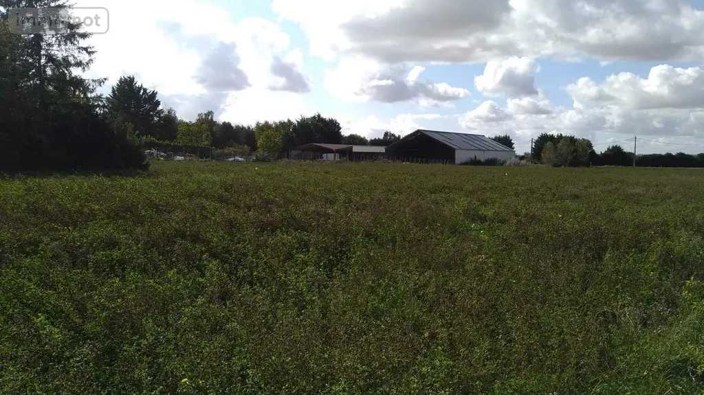 Terrain a batir a vendre Josnes 41370 Loir-et-Cher 41 688 m2 36000 euros 091/1405 002