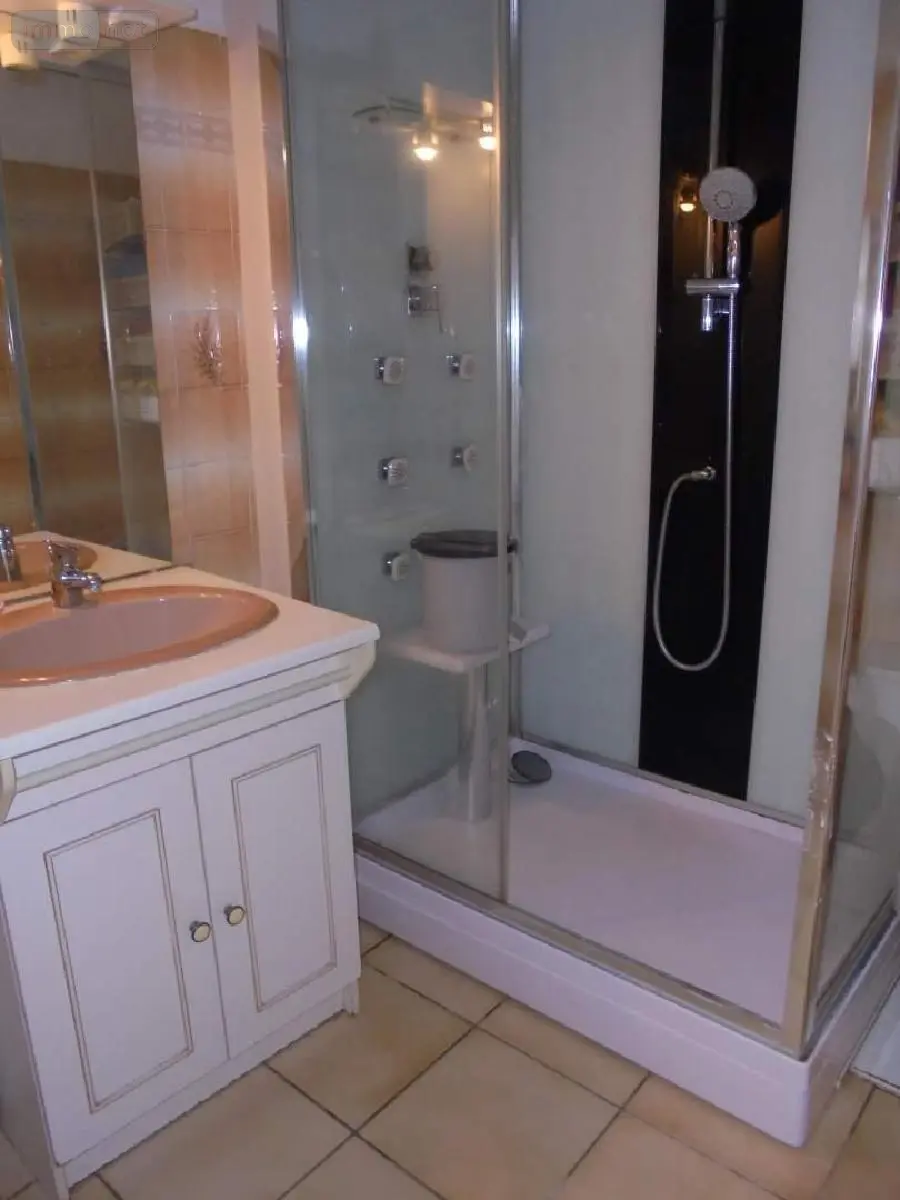 Maison a vendre Baule 45130 Loiret 45 171 m2 7 pièces 210200 euros 091/1523 011