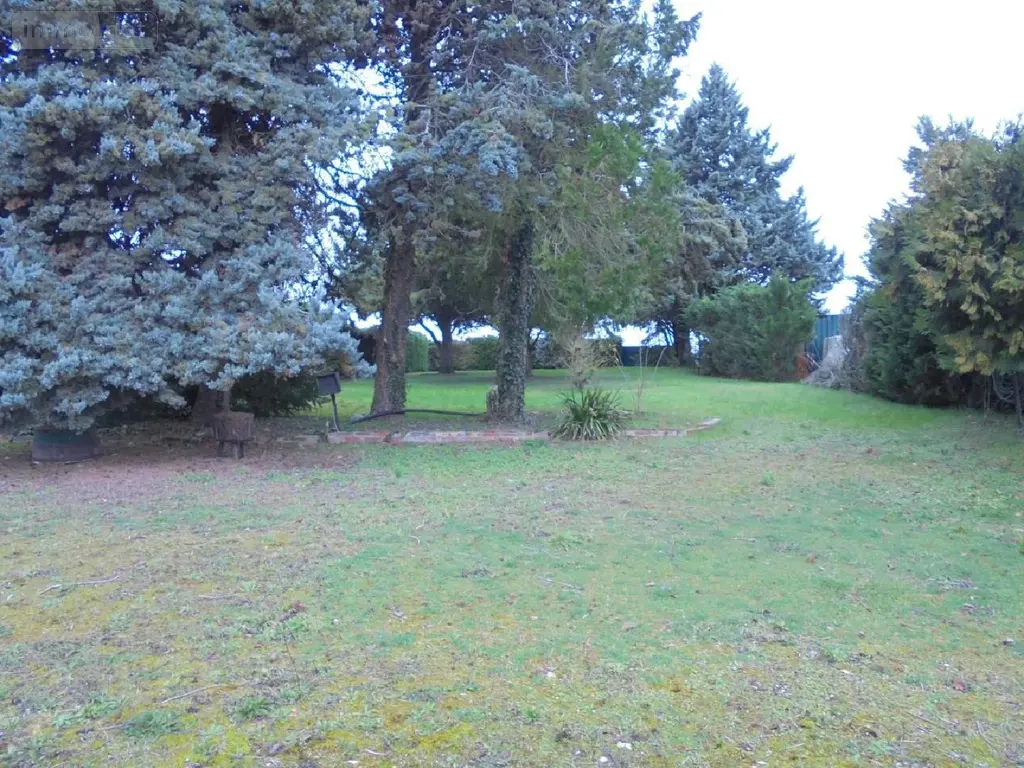 Maison a vendre Baule 45130 Loiret 45 171 m2 7 pièces 210200 euros 091/1523 020