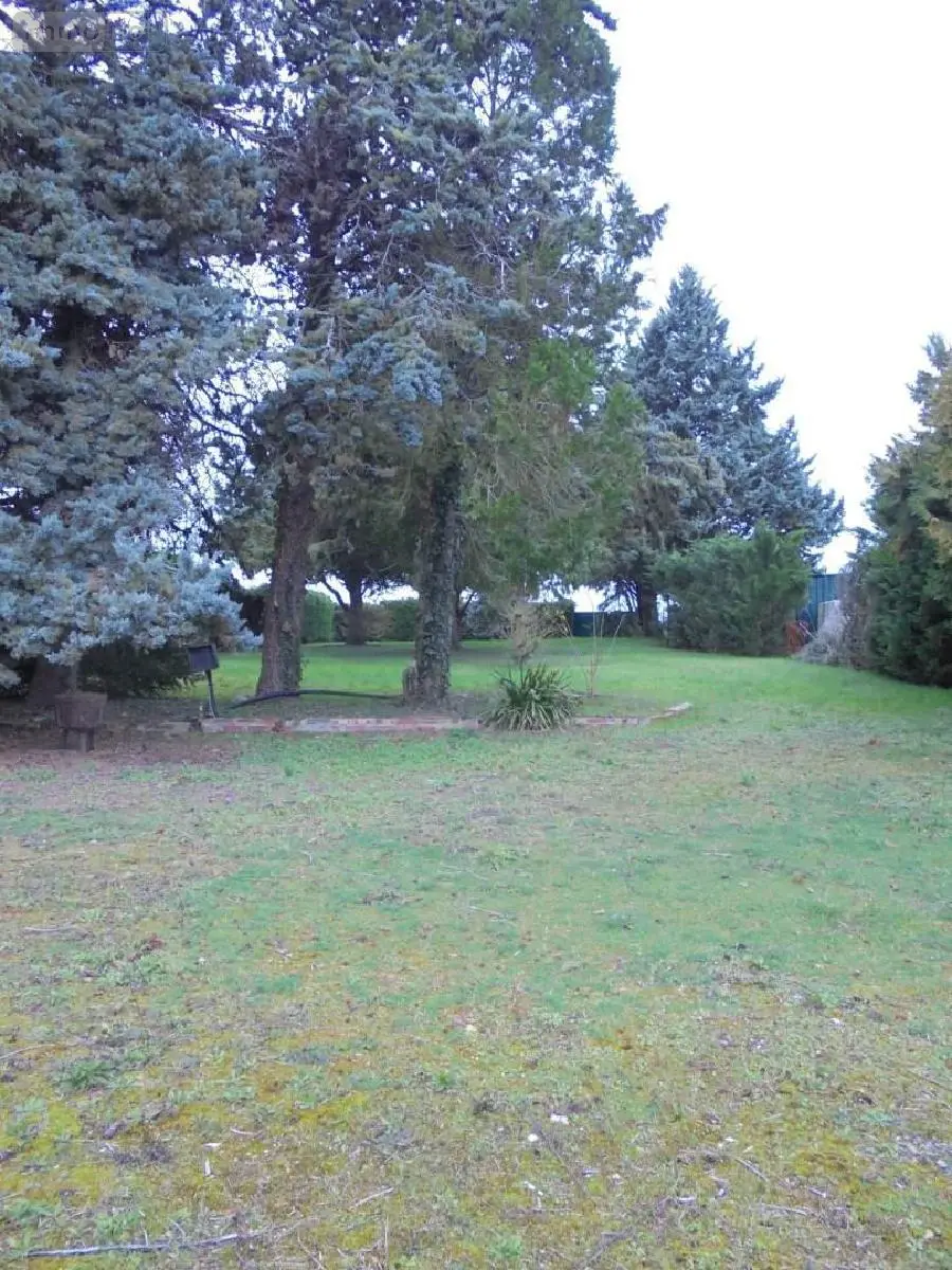Maison a vendre Baule 45130 Loiret 45 171 m2 7 pièces 210200 euros 091/1523 021