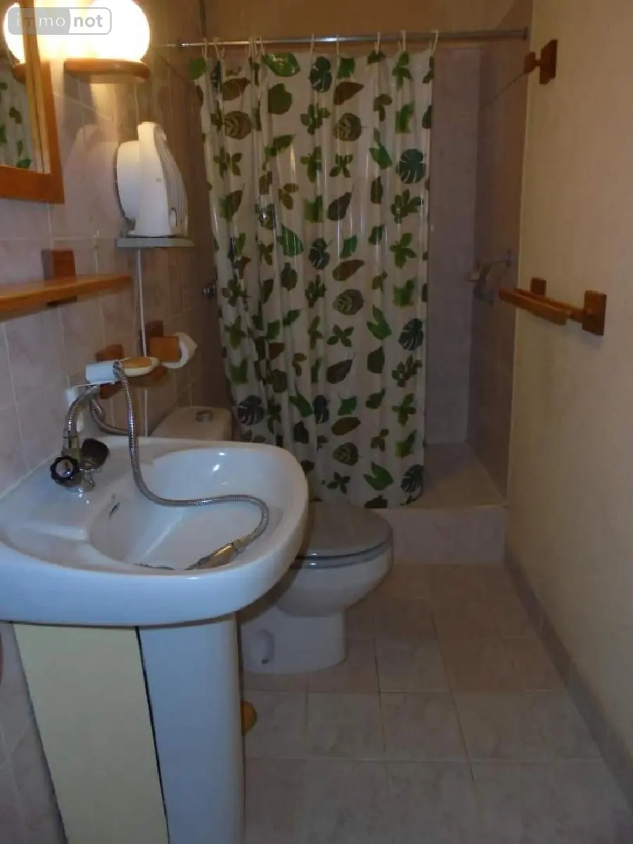 Maison a vendre Baule 45130 Loiret 45 171 m2 7 pièces 210200 euros 091/1523 031