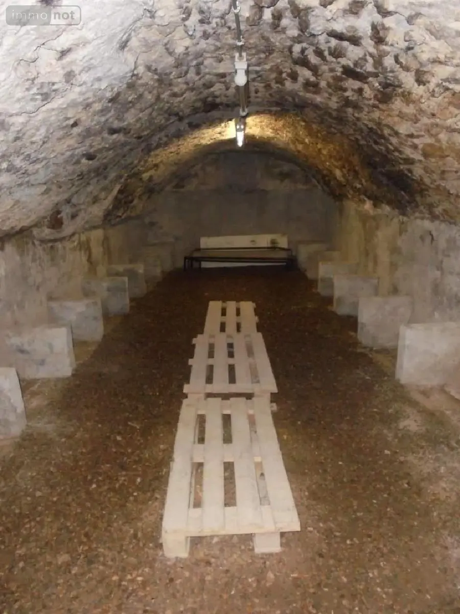 Fonds et murs commerciaux a vendre Beaugency 45190 Loiret 45 203 m2 9 pièces 168200 euros 091/1506 010