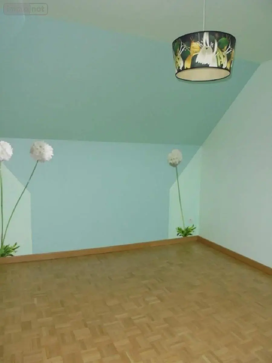 Maison a vendre Beaugency 45190 Loiret 45 185 m2 7 pièces 356900 euros 091/1485 029