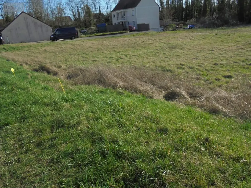 Terrain a batir a vendre Beaugency 45190 Loiret 45 764 m2 60700 euros 091/1433 002