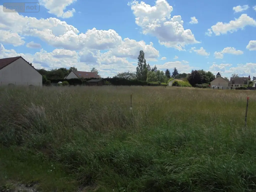 Terrain a batir a vendre Cravant 45190 Loiret 45 500 m2 43000 euros 091/1448 001