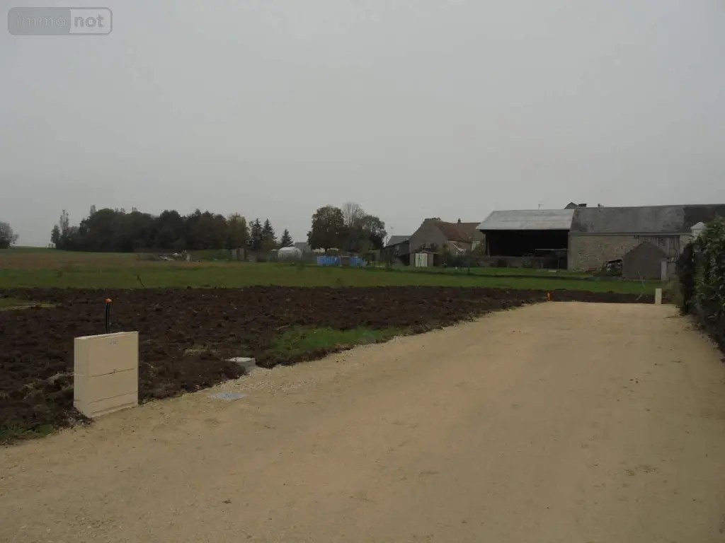 Terrain a batir a vendre Cravant 45190 Loiret 45 935 m2 49800 euros 091/1476 002