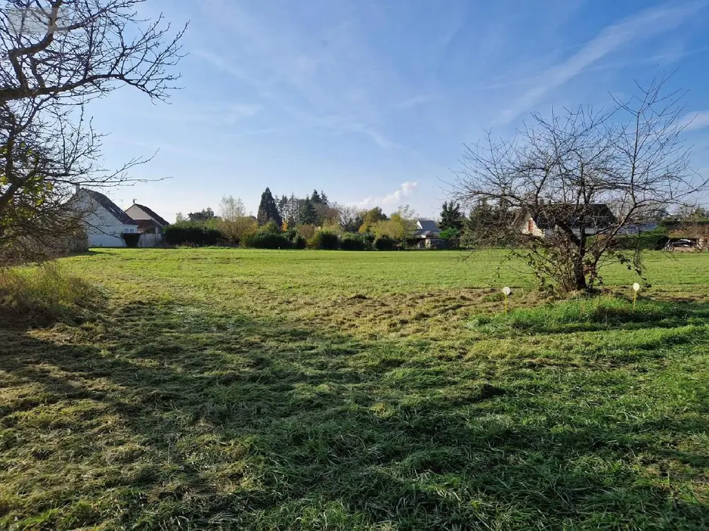 Terrain a batir a vendre Lailly-en-Val 45740 Loiret 45 801 m2 58200 euros 091/1475 002
