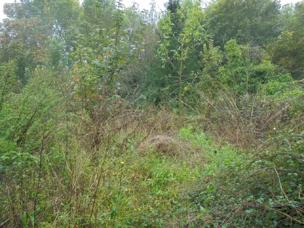 Maison a vendre Tavers 45190 Loiret 45 143 m2 3 pièces 191300 euros 091/1469 016