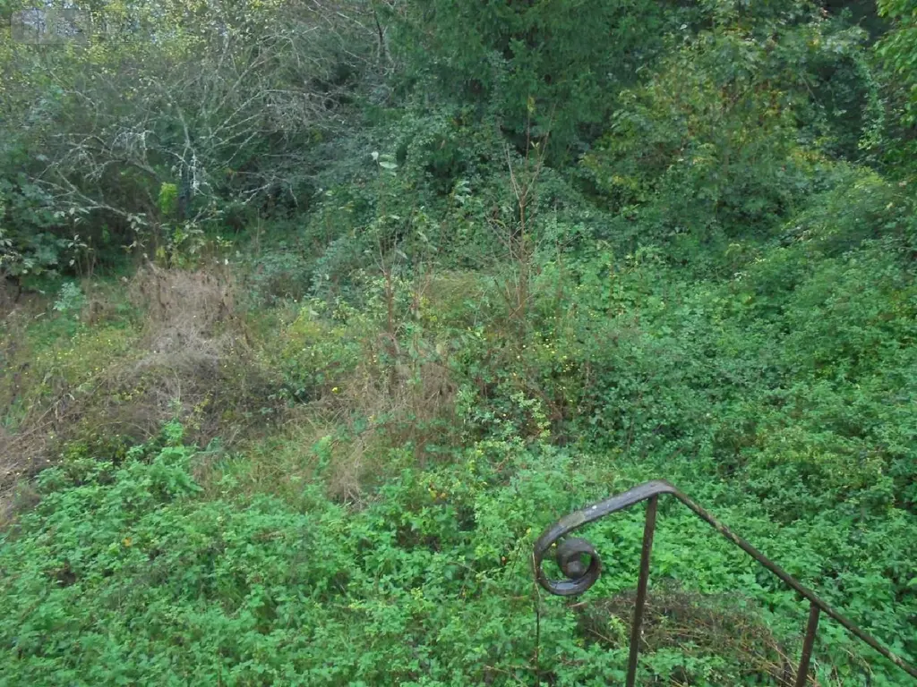 Maison a vendre Tavers 45190 Loiret 45 143 m2 3 pièces 191300 euros 091/1469 017