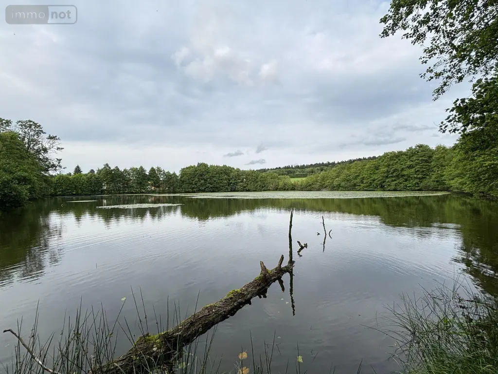 Terrains de loisirs bois etangs a vendre Le Val-d'Ajol 88340 Vosges 88 126540 euros 14815/202500185 ter 004