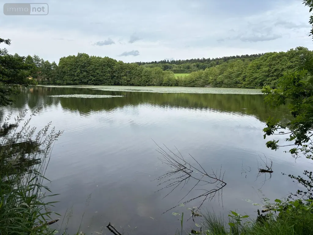 Terrains de loisirs bois etangs a vendre Le Val-d'Ajol 88340 Vosges 88 126540 euros 14815/202500185 ter 005