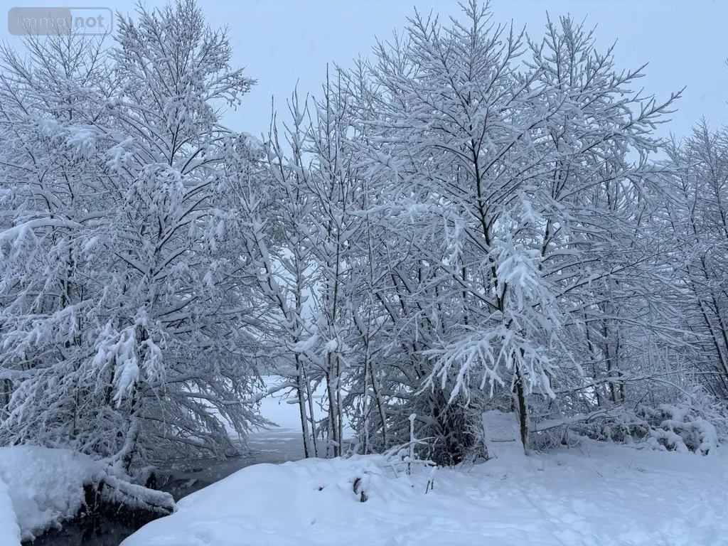 Terrains de loisirs bois etangs a vendre Le Val-d'Ajol 88340 Vosges 88 126540 euros 14815/202500185 ter 007