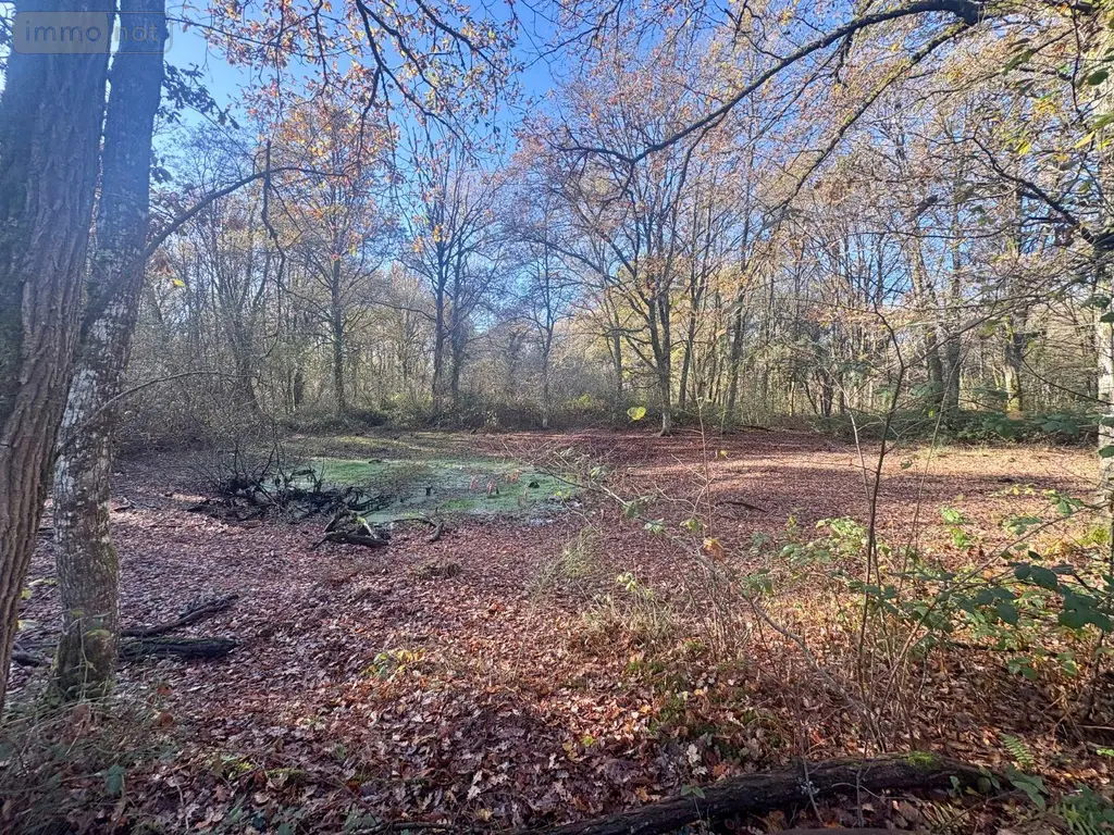 Terrains de loisirs bois etangs a vendre La Ferté-Imbault 41300 Loir-et-Cher 41 263500 euros 044/2044 003