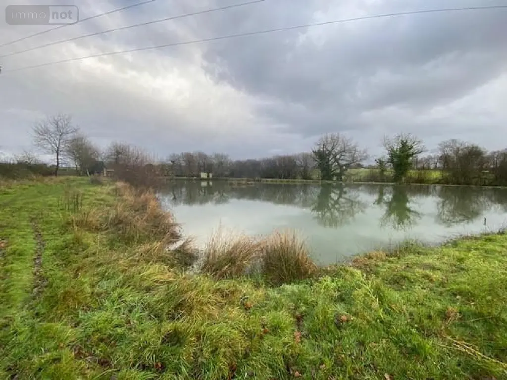 Terrains de loisirs bois etangs a vendre Tinténiac 35190 Ille-et-Vilaine 35 54000 euros 105/1895 002