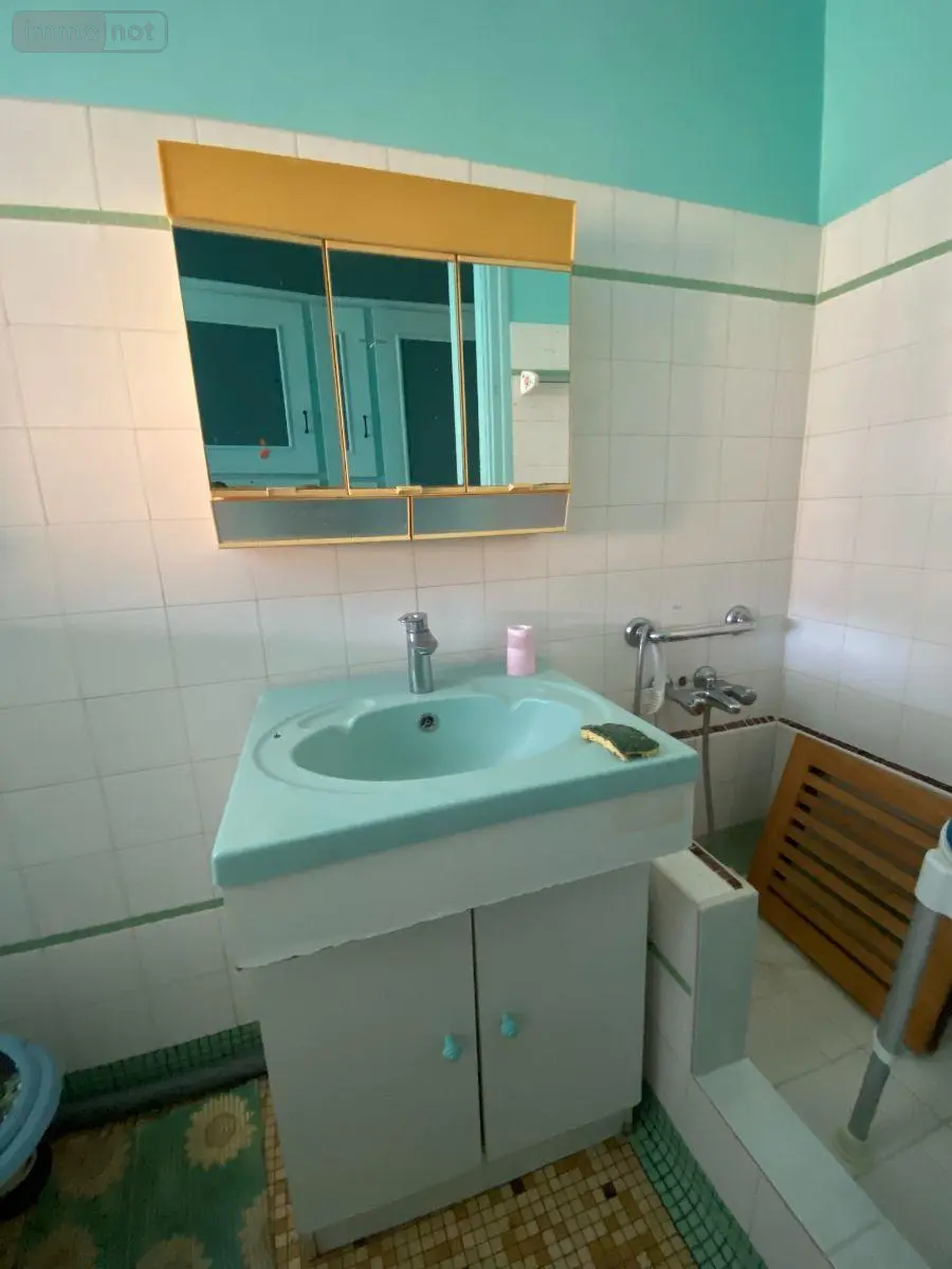 Maison a vendre Villedieu-sur-Indre 36320 Indre 36 50 m2 3 pièces 59500 euros 1051835 009