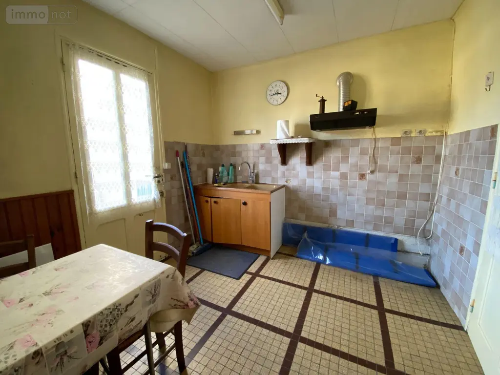 Maison a vendre Villedieu-sur-Indre 36320 Indre 36 50 m2 3 pièces 59500 euros 1051835 006