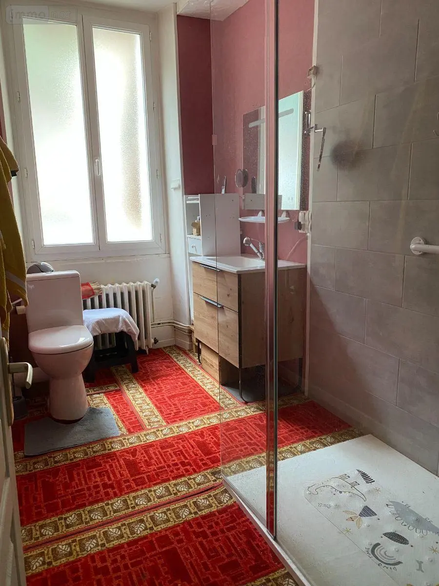 Maison a vendre Le Blanc 36300 Indre 36 169 m2 5 pièces 141000 euros 1050713 010