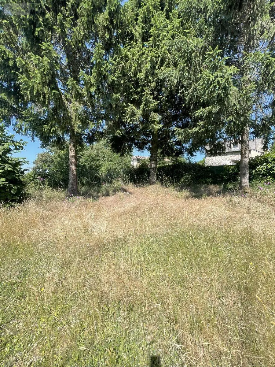 Maison a vendre Saint-Thomas-de-Courceriers 53160 Mayenne 53 206 m2 9 pièces 166500 euros 12703/3638 005