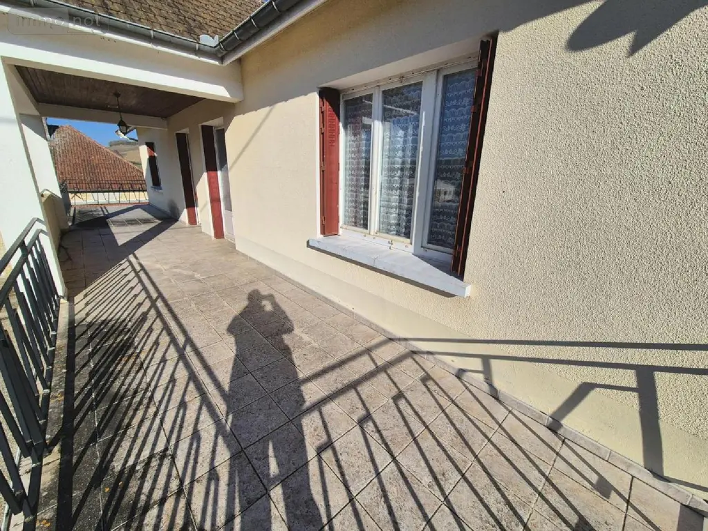 Maison a vendre Noé-les-Mallets 10360 Aube 10 263 m2 10 pièces 159000 euros 10043-338 013