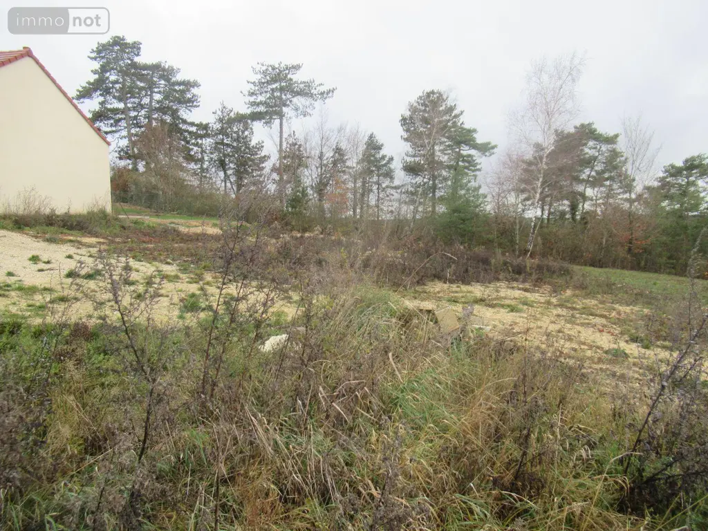 Terrain a batir a vendre Macey 10300 Aube 10 674 m2 53300 euros 10377/924 001