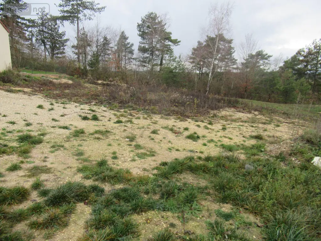 Terrain a batir a vendre Macey 10300 Aube 10 674 m2 53300 euros 10377/924 002