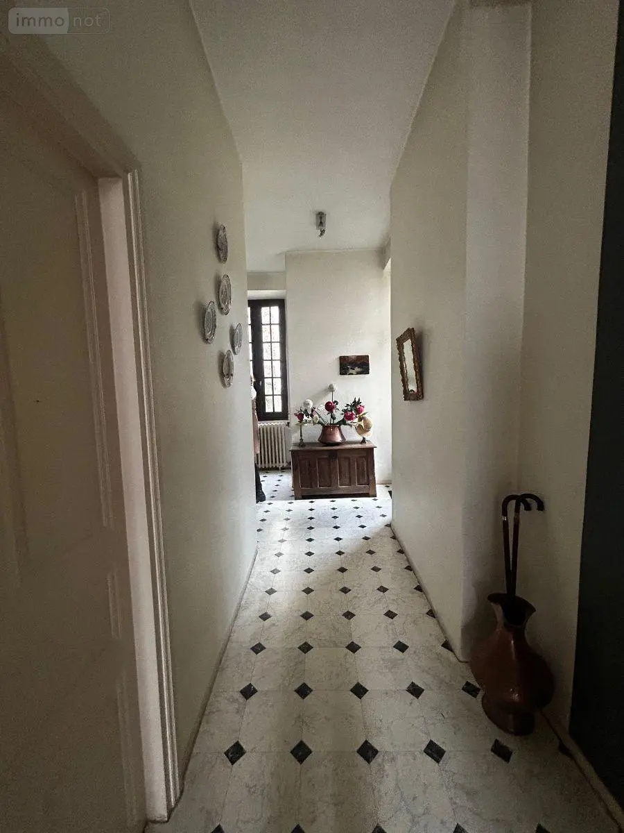 Immeuble de rapport a vendre Pleaux 15700 Cantal 15 200 m2 135680 euros 15060/1235 005