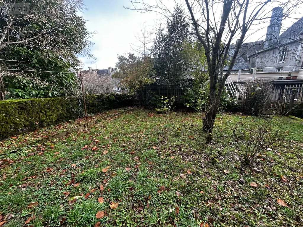 Immeuble de rapport a vendre Pleaux 15700 Cantal 15 200 m2 135680 euros 15060/1235 015